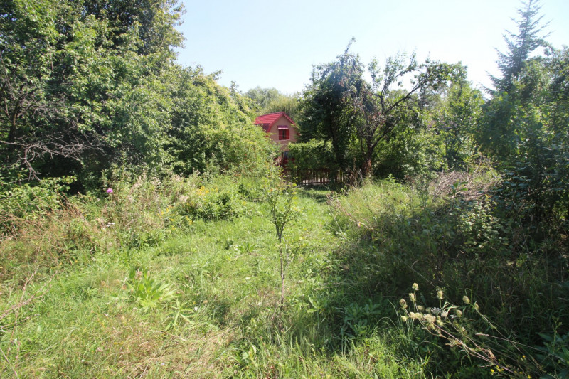Campina/Sos.Paltinu, teren 1839 mp, locatie de vis, priveliste superba