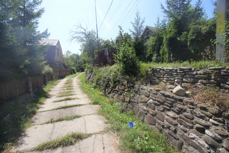 Campina/Sos.Paltinu, teren 1839 mp, locatie de vis, priveliste superba