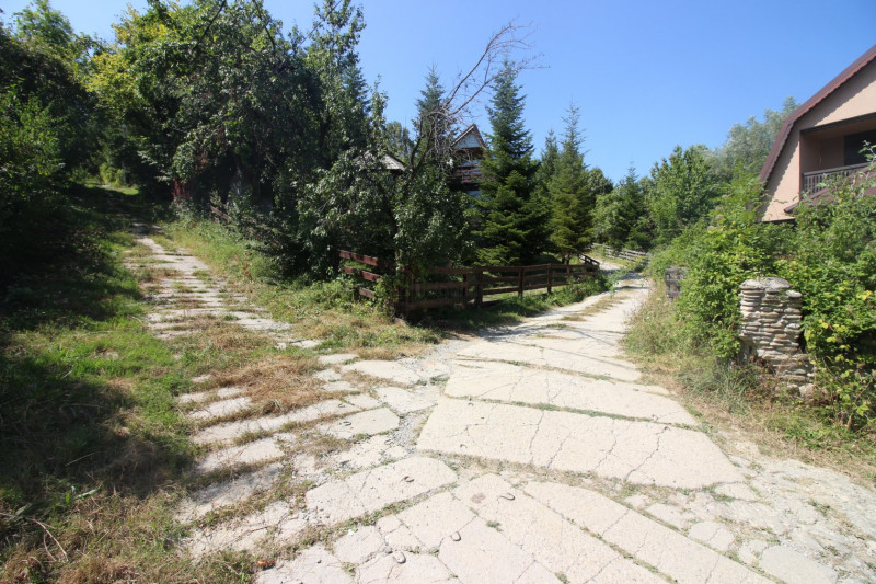 Campina/Sos.Paltinu, teren 1839 mp, locatie de vis, priveliste superba