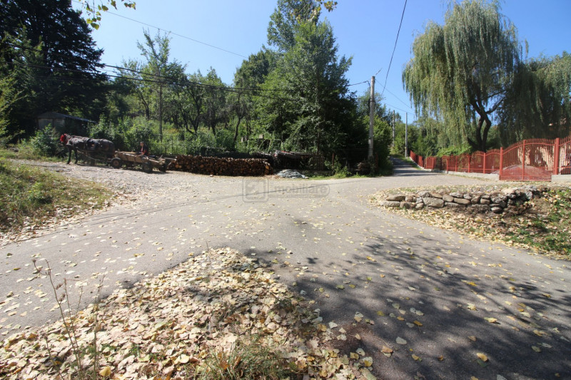 Campina/Sos.Paltinu, teren 1839 mp, locatie de vis, priveliste superba