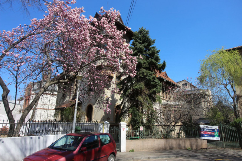 Kiseleff, vila stil neoromanesc, cel mai mare lot de teren din zona,strada unica