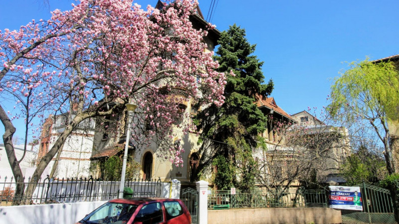 Kiseleff, vila stil neoromanesc, cel mai mare lot de teren din zona,strada unica